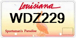 WDZ229 Louisiana