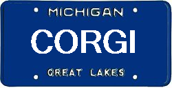 Corgi Michigan
