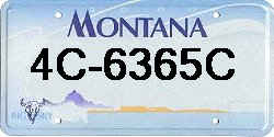4C-6365C Montana