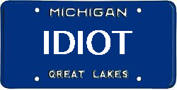 Idiot Michigan